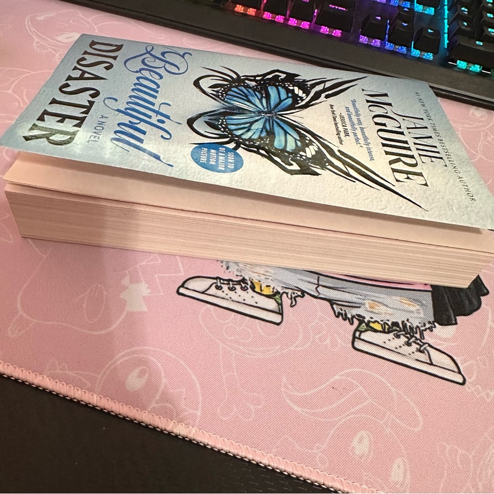 Beautiful Disaster Book - Picture 4 of 6